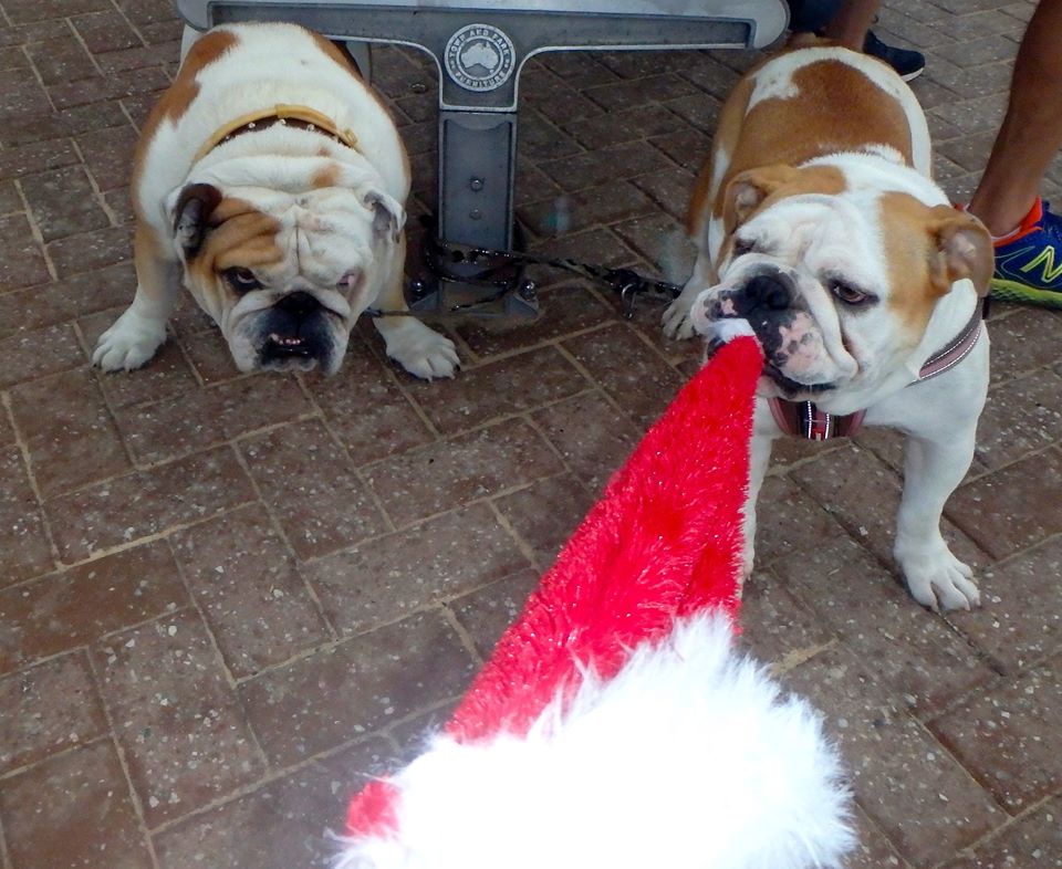 A few photos from December 2014 :-)